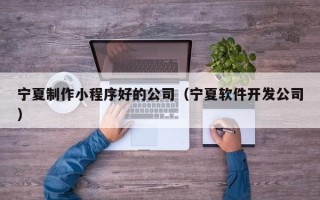 桦甸宁夏制作小程序好的公司（宁夏软件开发公司）
